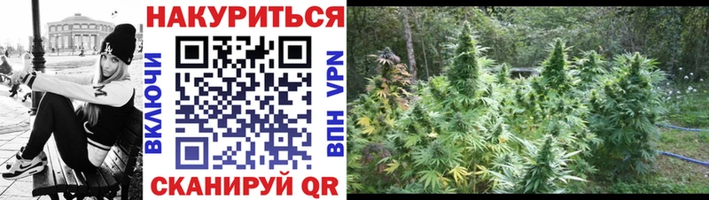 Купить закладку Галлюциногенные грибы  Конопля  Cocaine  Меф мяу мяу  ГАШ  Амфетамин  Рязань