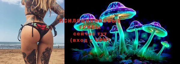 прущий лед Заводоуковск
